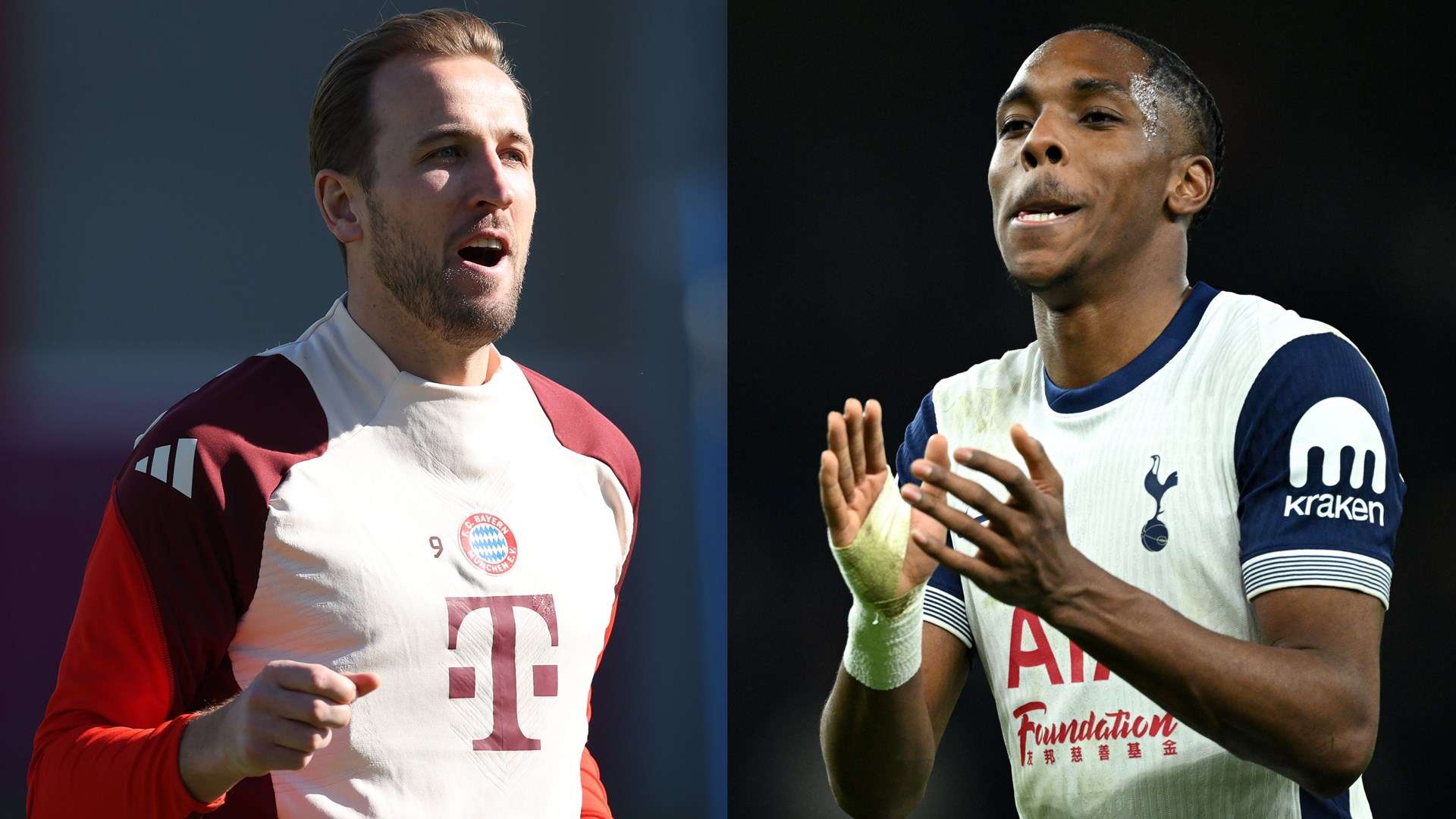 在这场知识 在这场知识